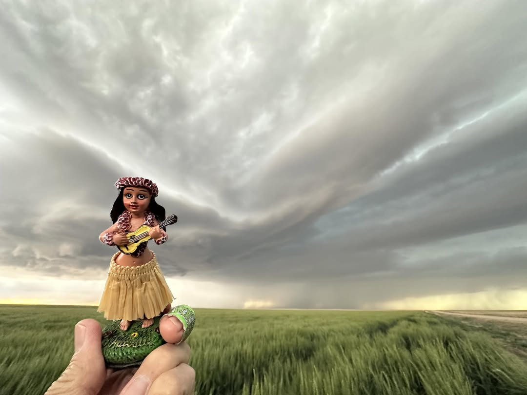 Leilani the Hula Girl joins the chase