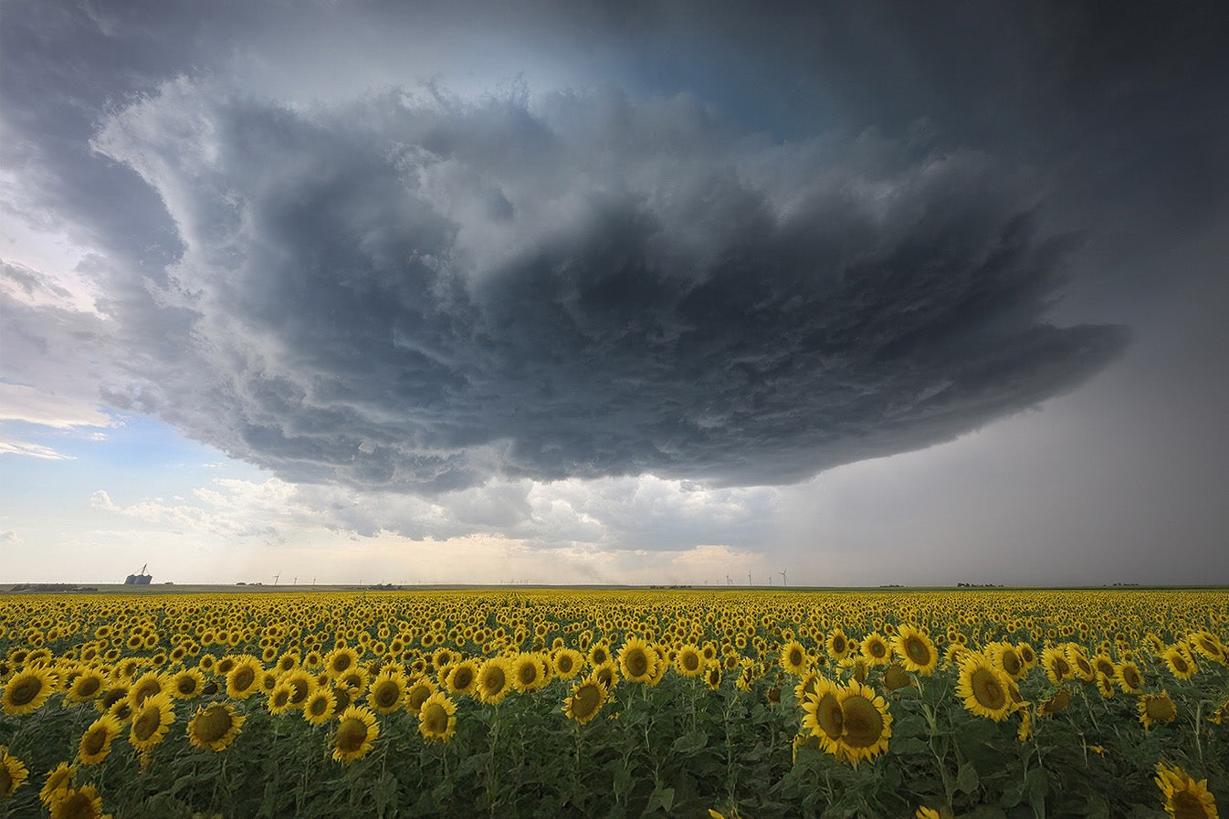A perfect foreground near Limon, Colorado
